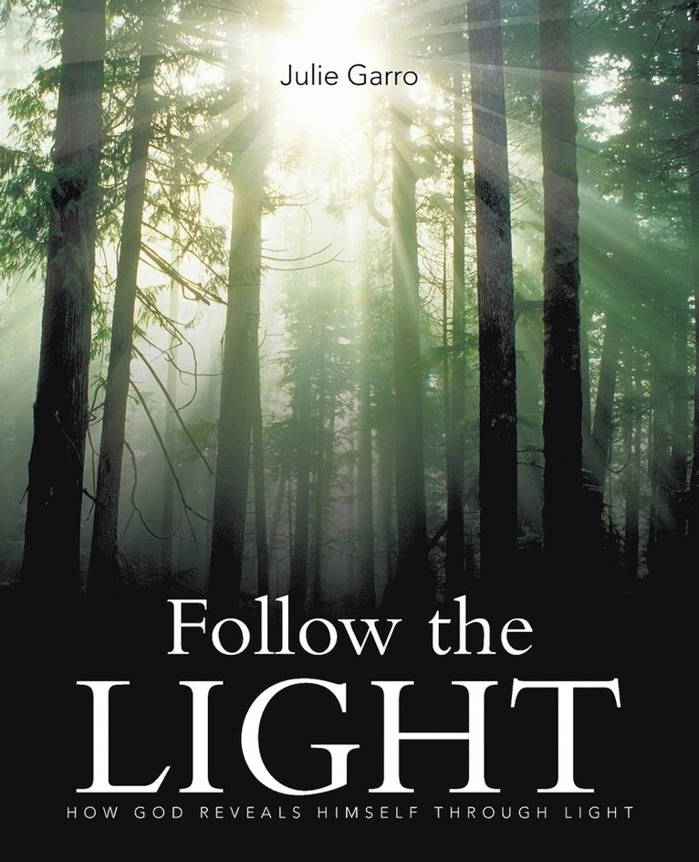 Follow the Light 1