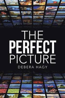 Debera Hagy - Perfect Picture, Häftad