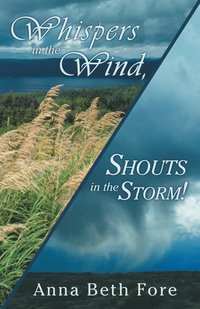 bokomslag Whispers in the Wind, Shouts in the Storm!