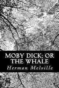 bokomslag Moby Dick; or The Whale