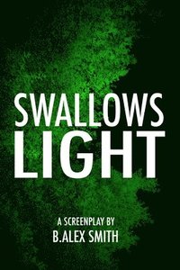 bokomslag Swallows Light