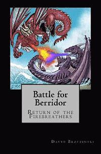 bokomslag Battle for Berridor