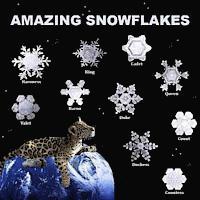 bokomslag Amazing Snowflakes