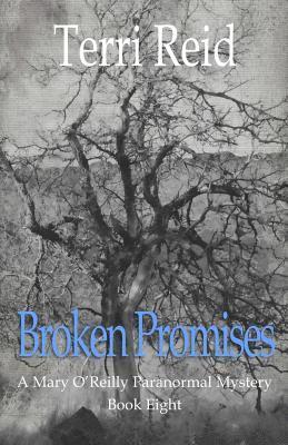 bokomslag Broken Promises