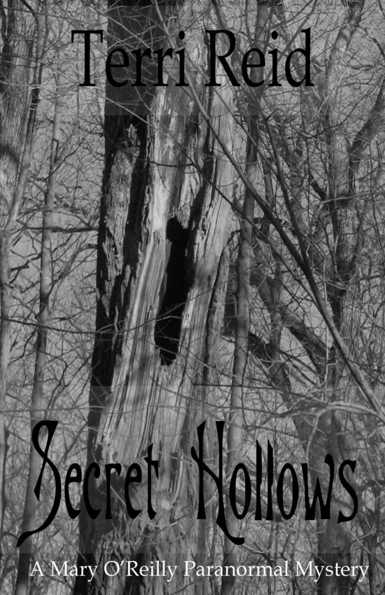 Secret Hollows 1