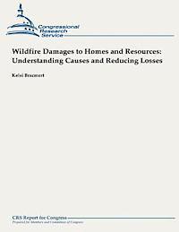 bokomslag Wildfire Damages to Homes and Resources: Understanding Causes and Reducing Losses