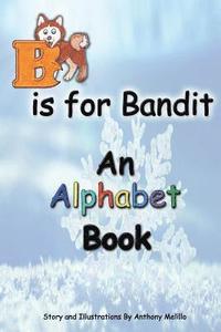 bokomslag B is for Bandit: A Fun Alphabet Book for All Ages