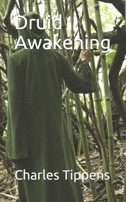 bokomslag Druid Awakening