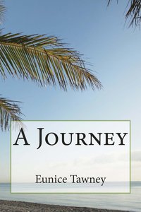 bokomslag A Journey