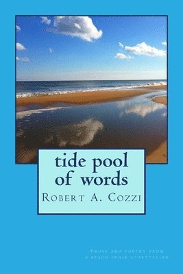 bokomslag Tide Pool of Words: Prose and poetry from a beach chair storyteller