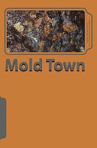 bokomslag Mold Town