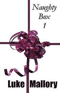 bokomslag Naughty Box 1