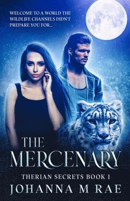 The Mercenary 1