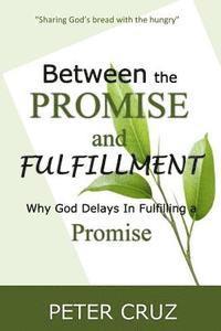 bokomslag Between the Promise and Fulfillment: Why God Delays in Fullfilling a Promise