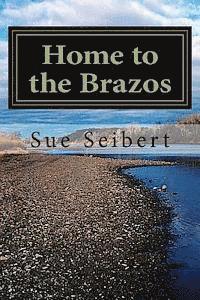 bokomslag Home to the Brazos: A Painted Post Mystery