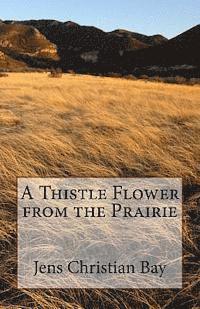 A Thistle Flower from the Prairie 1