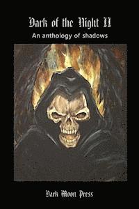 bokomslag Dark of the Night: Anthology of Shadows Two