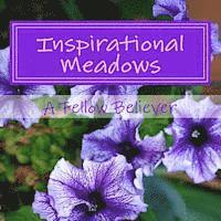 Taylor Transgalactic, A. Fellow Believer - Inspirational Meadows, Häftad