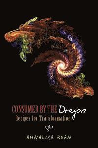 bokomslag Consumed By The Dragon: Recipes for Transformation