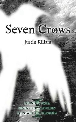 bokomslag Seven Crows