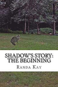 bokomslag Shadow's Story: The Beginning