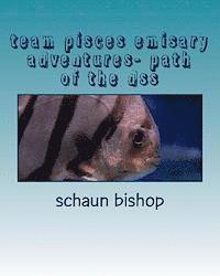 bokomslag team pisces emisary adventures- path of the dss