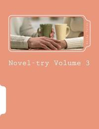 bokomslag Novel-try-Volume 3: Teens' Gruide to Writing Your First Best Seller: The Romance Novel