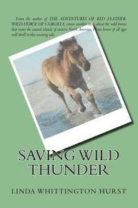 bokomslag Saving Wild Thunder