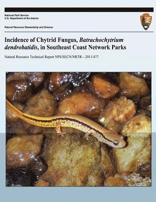 bokomslag Incidence of Chytrid Fungus, Batrachochytrium dendrobatidis, in Southeast Coast Network Parks