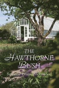bokomslag The Hawthorne Bush