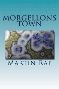 bokomslag Morgellons town