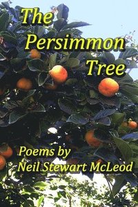 bokomslag The Persimmon Tree