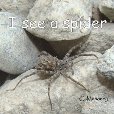 bokomslag I see a spider