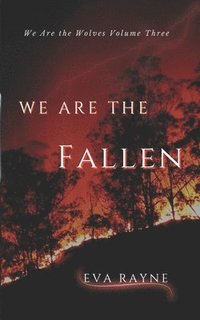 bokomslag We Are the Fallen