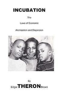 bokomslag Incubation: the laws of Economic Atomization and Dispersion