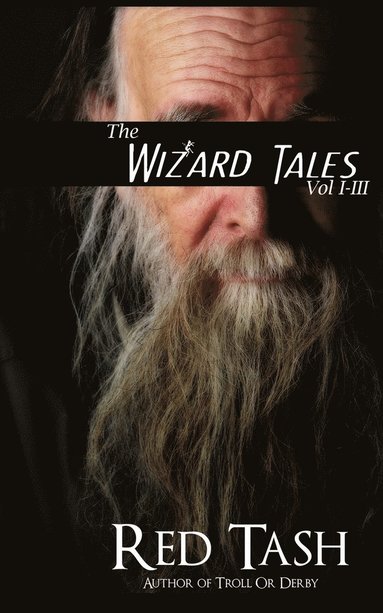 bokomslag Wizard Tales Vol I-III