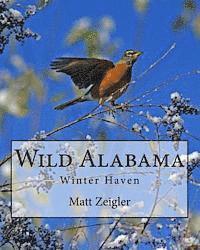 Matt Zeigler - Wild Alabama: Winter Haven, Häftad