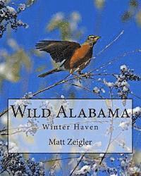 Wild Alabama: Winter Haven 1