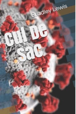 Cul De Sac 1