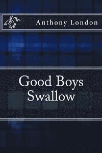 bokomslag Good Boys Swallow