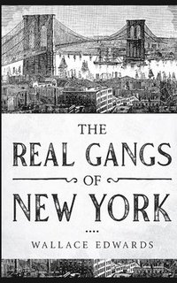 bokomslag The Real Gangs of New York