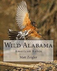 Wild Alabama: American Robin 1