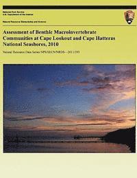 bokomslag Assessment of Benthic Macroinvertebrate Communities at Cape Lookout and Cape Hatteras National Seashores, 2010