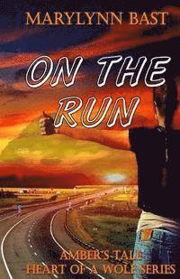 On The Run: Amber's Tale 1