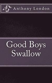 bokomslag Good Boys Swallow