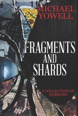 bokomslag Fragments And Shards