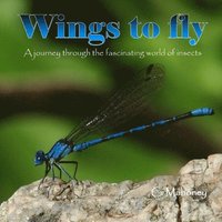 bokomslag Wings to fly