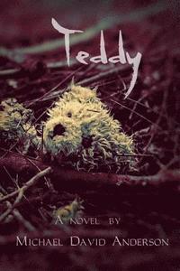 bokomslag Teddy