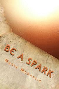 bokomslag Be A Spark: Seeking Light