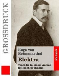 bokomslag Elektra (Großdruck): Tragödie in einem Aufzug frei nach Sophokles